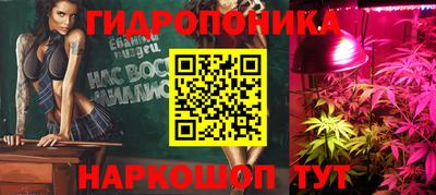 молекула духа Краснодар