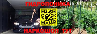 молекула духа Краснодар