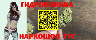 прущие крисы Краснокаменск