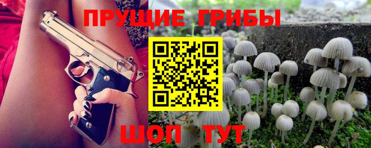 Галлюциногенные грибы Psilocybine cubensis Клин